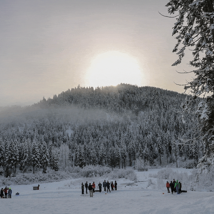 10798456800 Img 4610