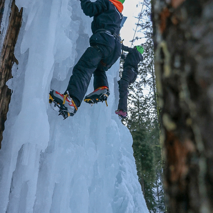 10798531040 Img 5011