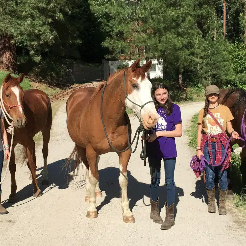 Bs Girls Horses
