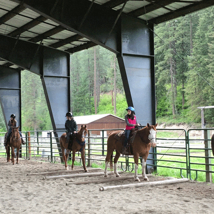 Bs Girls On Horseback