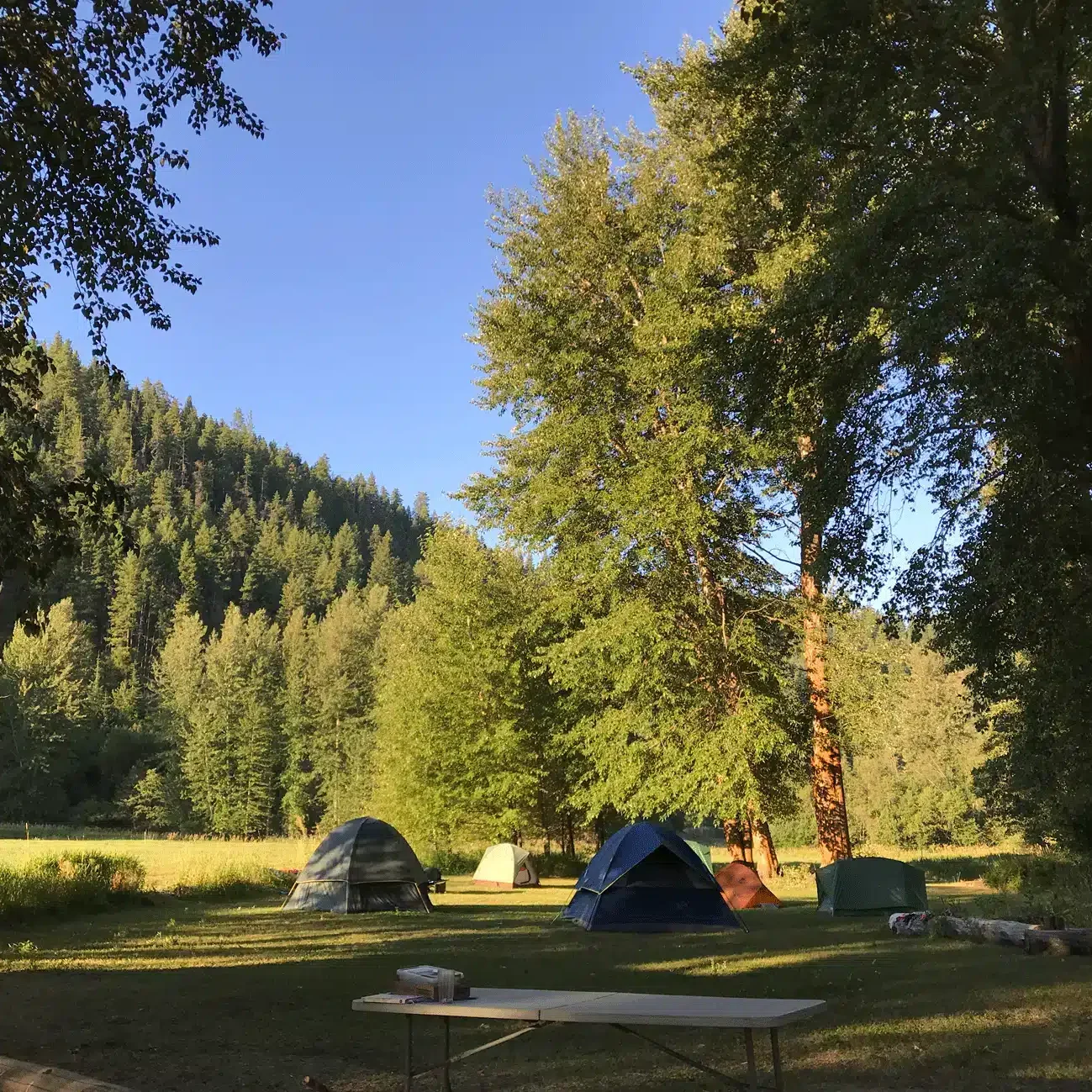 Camp Tents @ Cottonwood 1