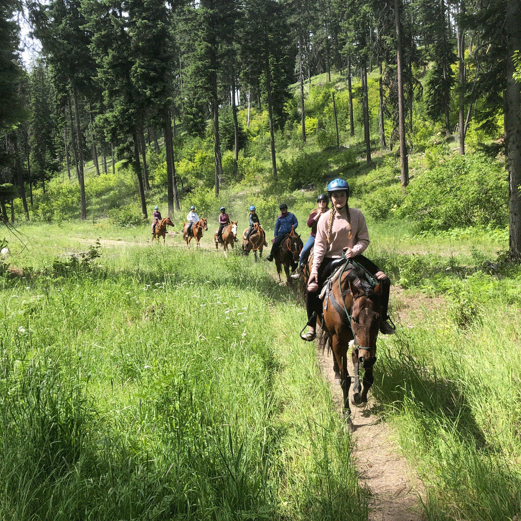 Camp Trail Ride