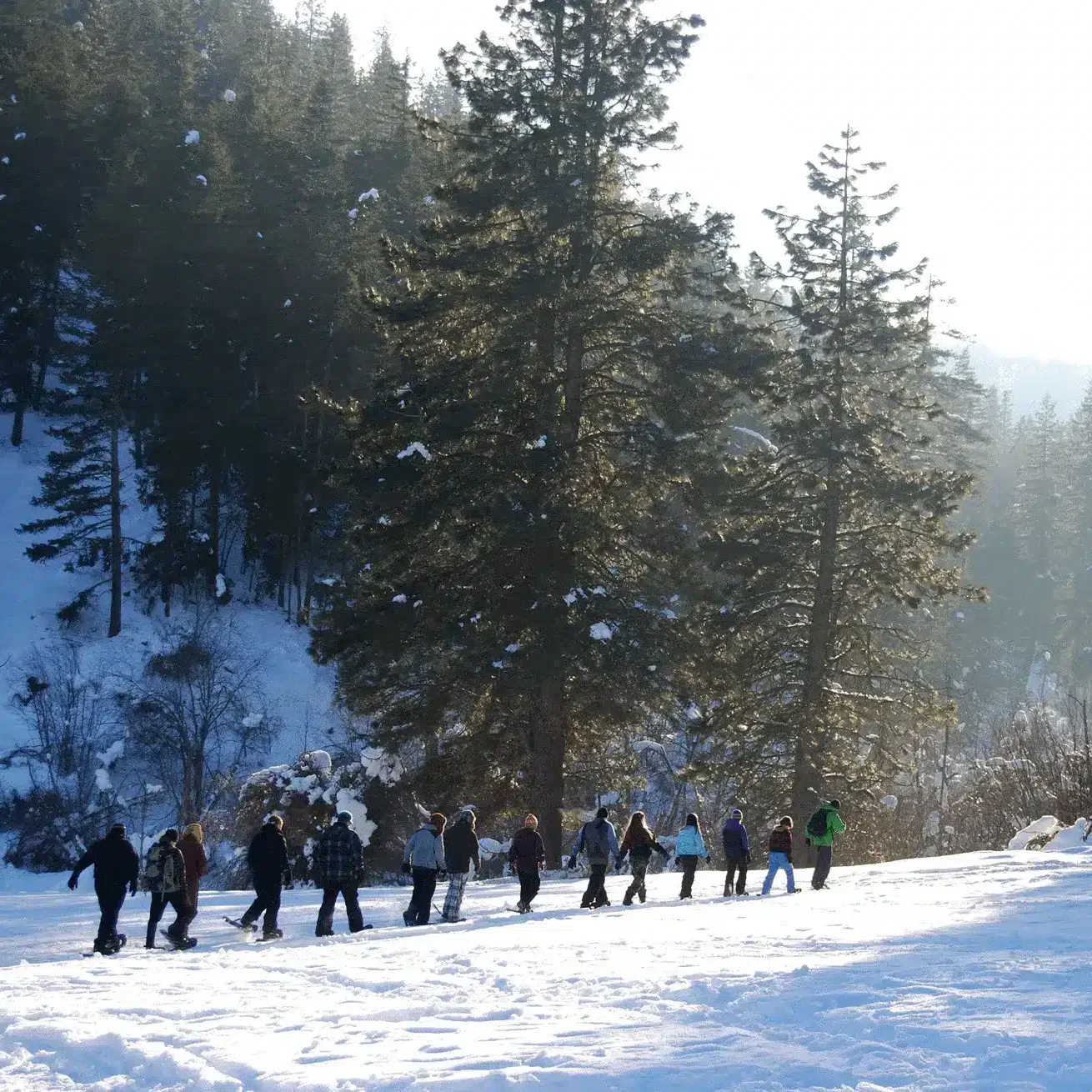 Winter 2013 627