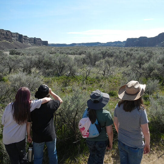 Students With View Web