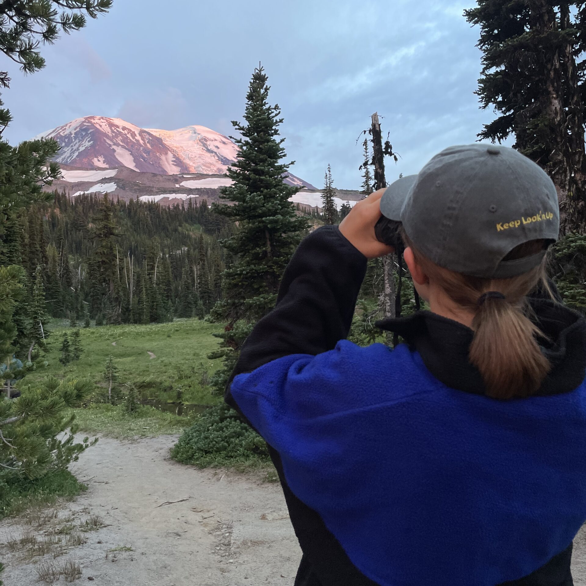 33094c51 651f 49e2 96fa 578831a26786